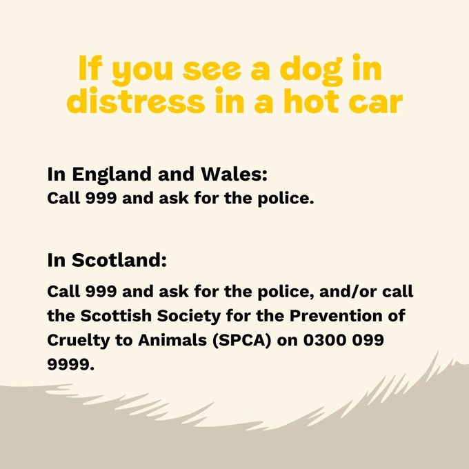 Animal Adoptions UK 🐕🦺🐈🐎❤️ (@adoptionsuk) on Twitter photo Please retweet, another dog in a hot car today!! Thanks to the staff at <a href="/waitrose/">Waitrose & Partners</a> #LLanfoist for asking a customer to return to the vehicle. If you see a dog in a hot car, call 999, tell the police the dog is at risk🐶🔥
More advice 👇
bluecross.org.uk/advice/dog/hea…
#dogs #heatwave Please retweet, another dog in a hot car today!! Thanks to the staff at <a href="/waitrose/">Waitrose & Partners</a> #LLanfoist for asking a customer to return to the vehicle. If you see a dog in a hot car, call 999, tell the police the dog is at risk🐶🔥
More advice 👇
bluecross.org.uk/advice/dog/hea…
#dogs #heatwave