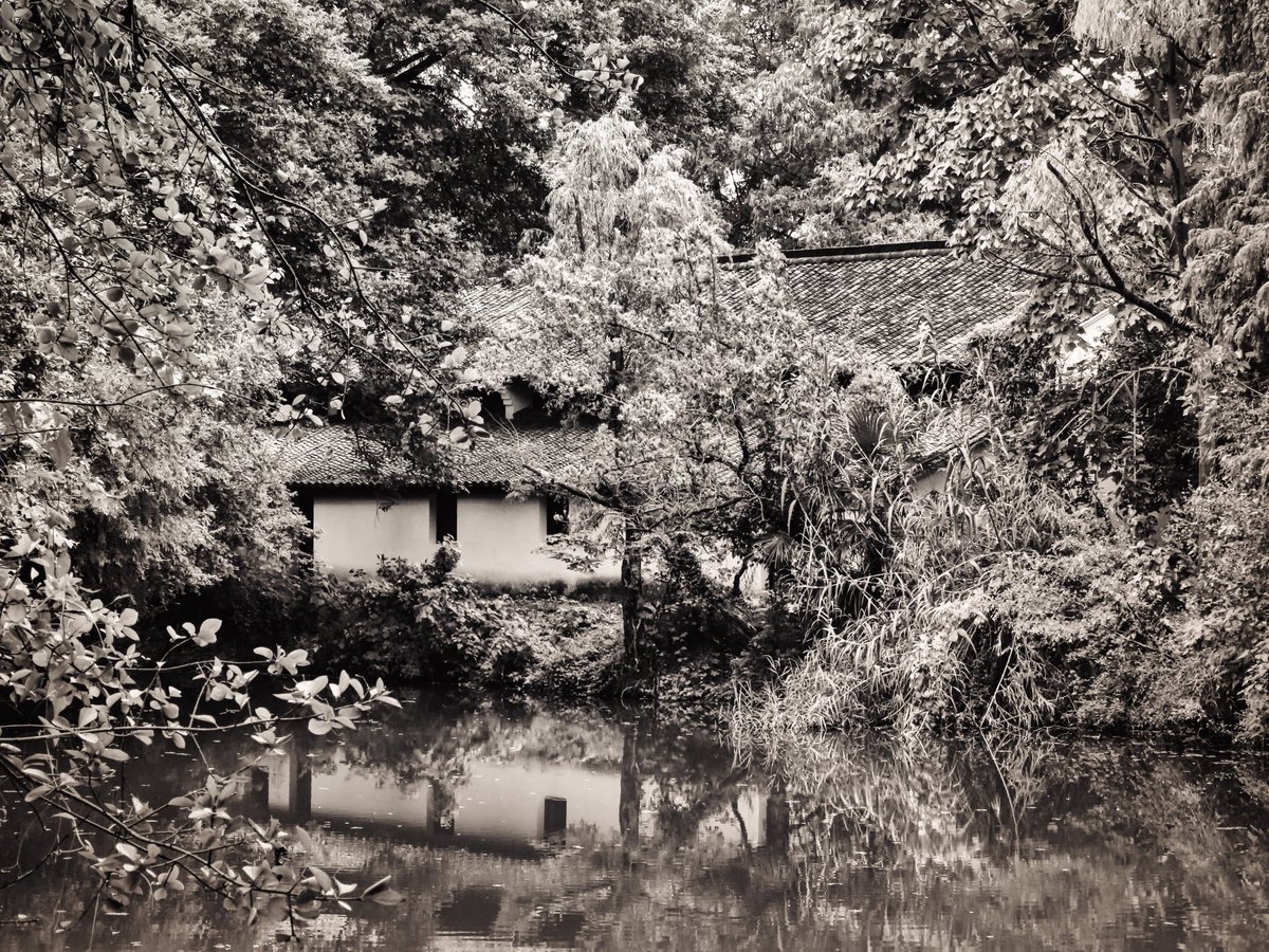 andresmelocou's tweet photo. π¨π³πΈ
#ParaMiguel π
(Hangzhou 2) https://t.co/K3qmA5xLek