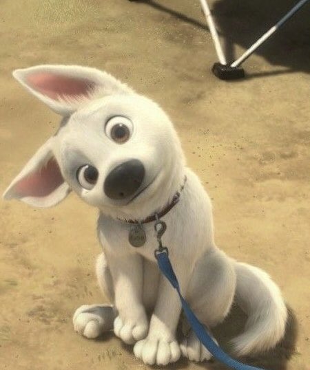 ikeuvoid's tweet photo. animal                                                    real life https://t.co/fauc3PpLdG