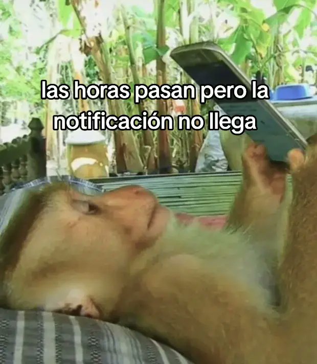 <a href="/HFVioleta/">La Nefervivi</a> aquí seguimos esperando