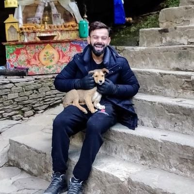 Two stray dogs from Delhi-NCR shelters 😂