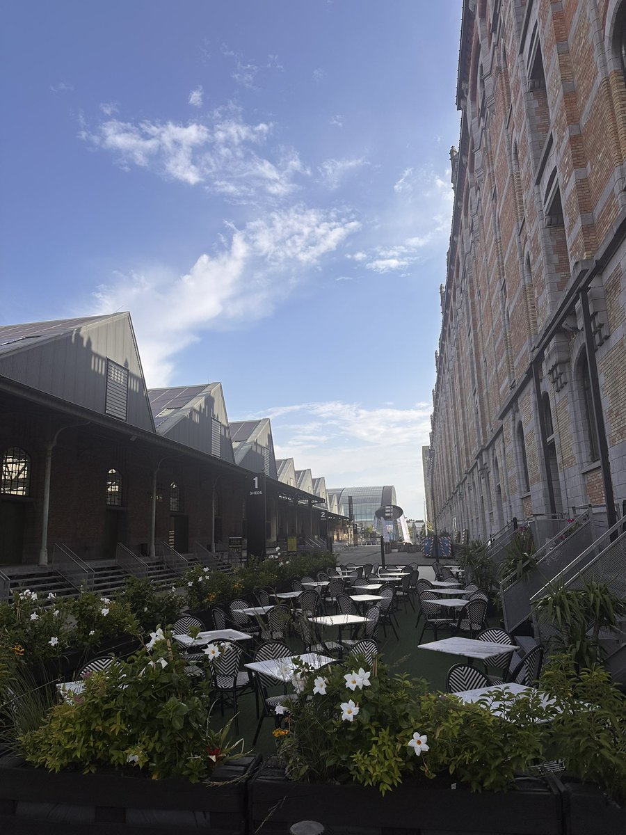 Vincent Vandenameele tweet media