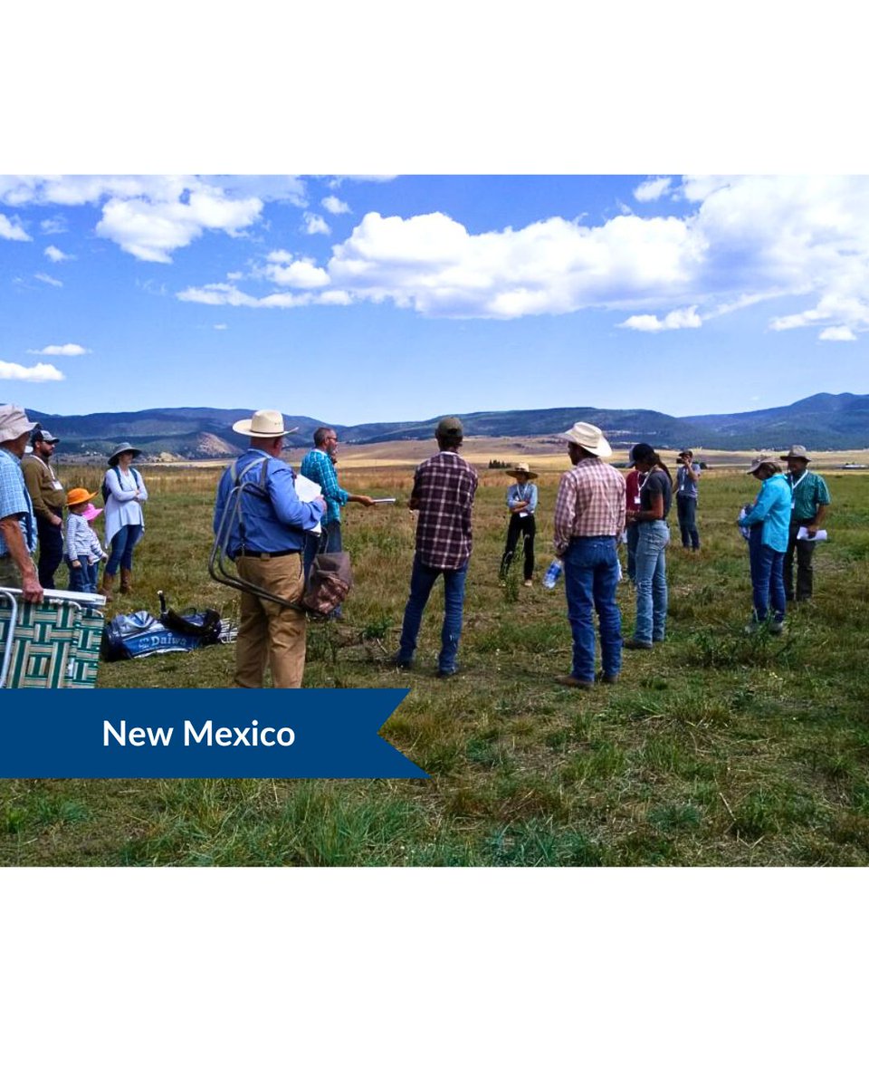 Holistic Mgmt. Int'l tweet media