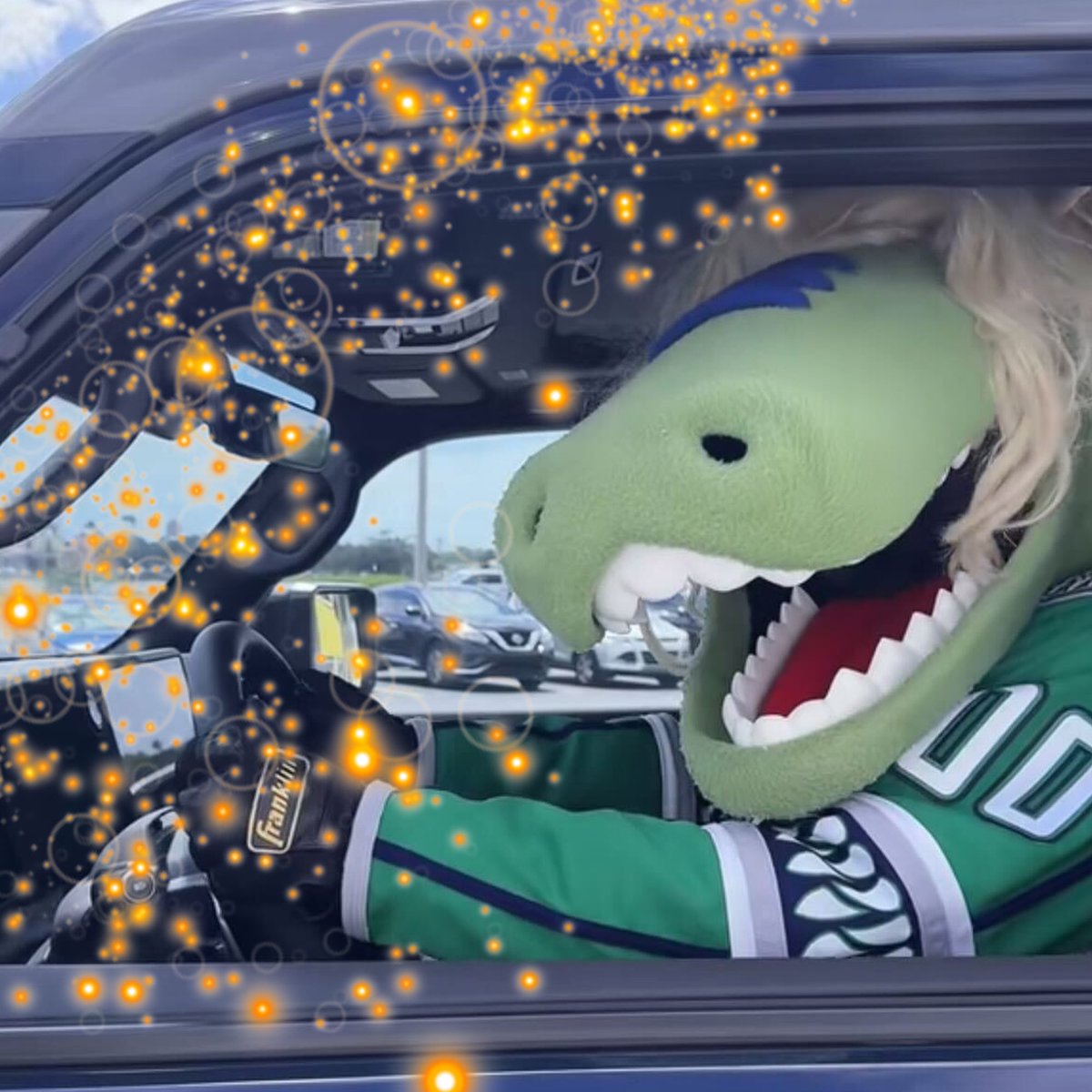 The Life of a Showgirl ✨