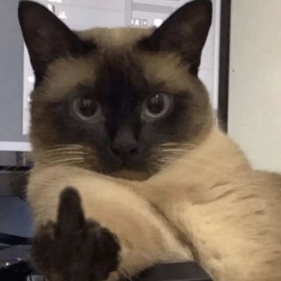 lumene86's tweet image. #NovaFotoDePerfil