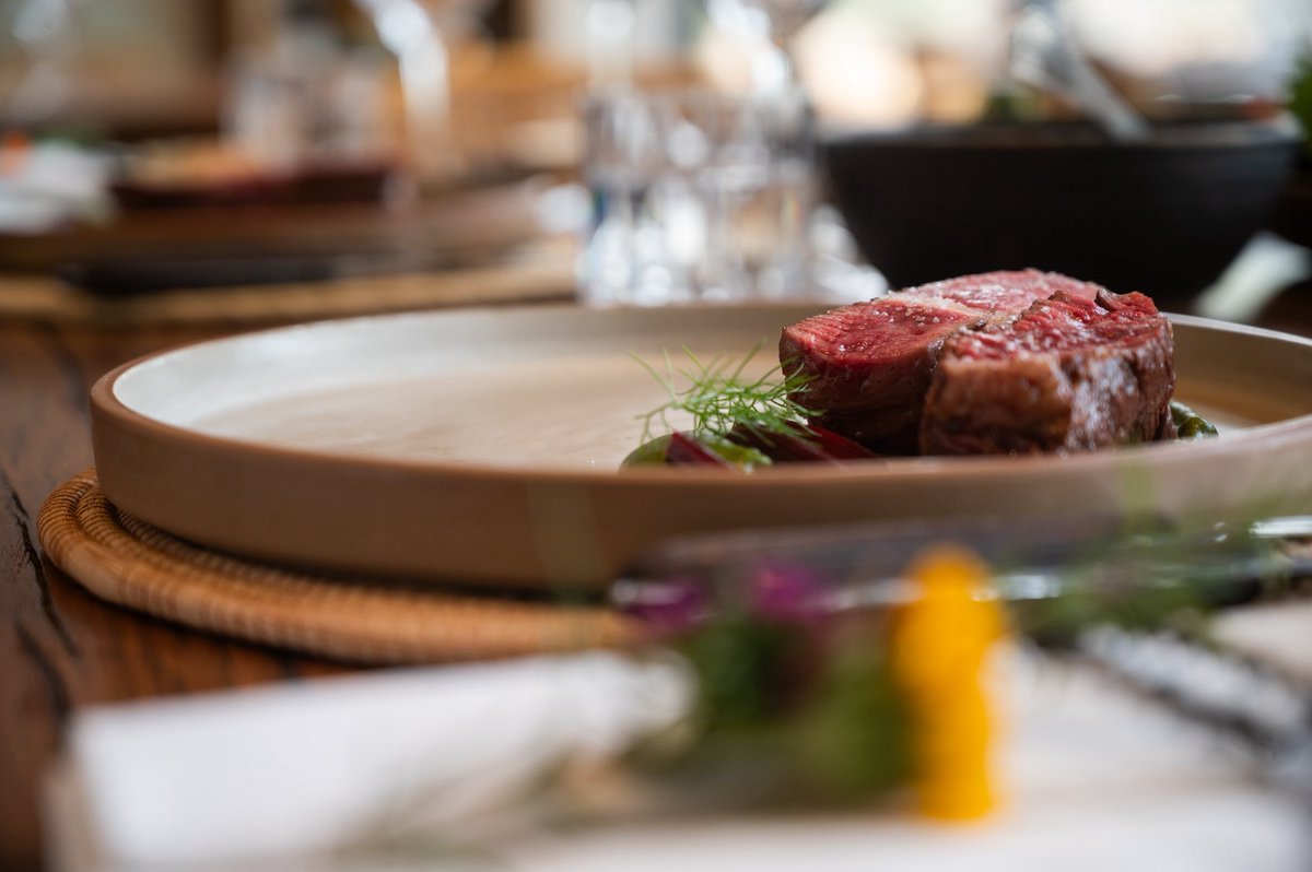mendoza_tur's tweet photo. Gastronomía 5.0: Mendoza será el epicentro de la innovación para empresarios del sector de toda Latinoamérica
Lee la nota completa acá 👉🏻 https://t.co/NZawyBAUp9 https://t.co/iJn54G4zeb
