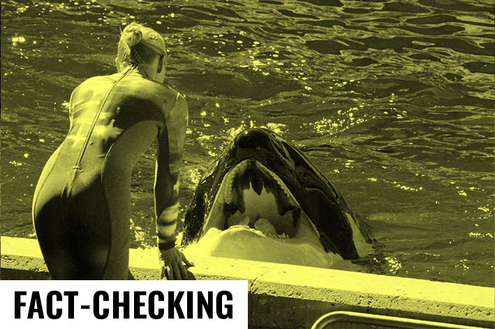 Nicolas Turcev tweet media