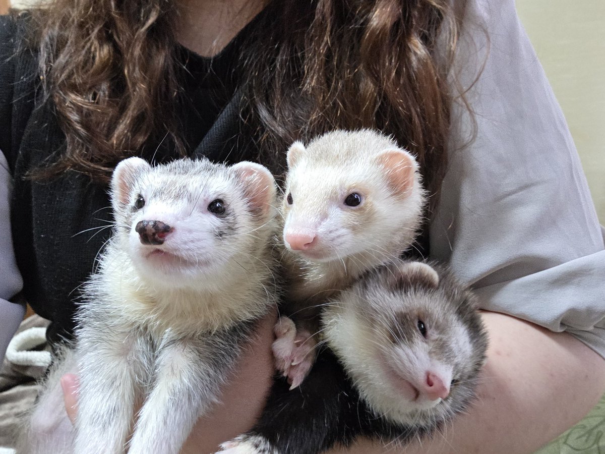 1人力尽きてるな