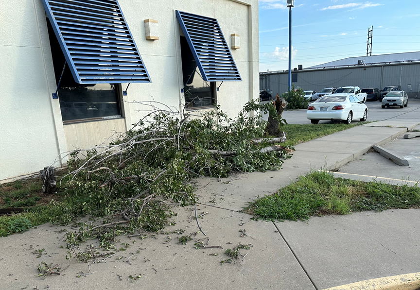 Had a tree blown down and quite a bit of damage to other trees at 45th and the E-way. Winds must have been significant. <a href="/NWSAmarillo/">NWS Amarillo</a> #txwx