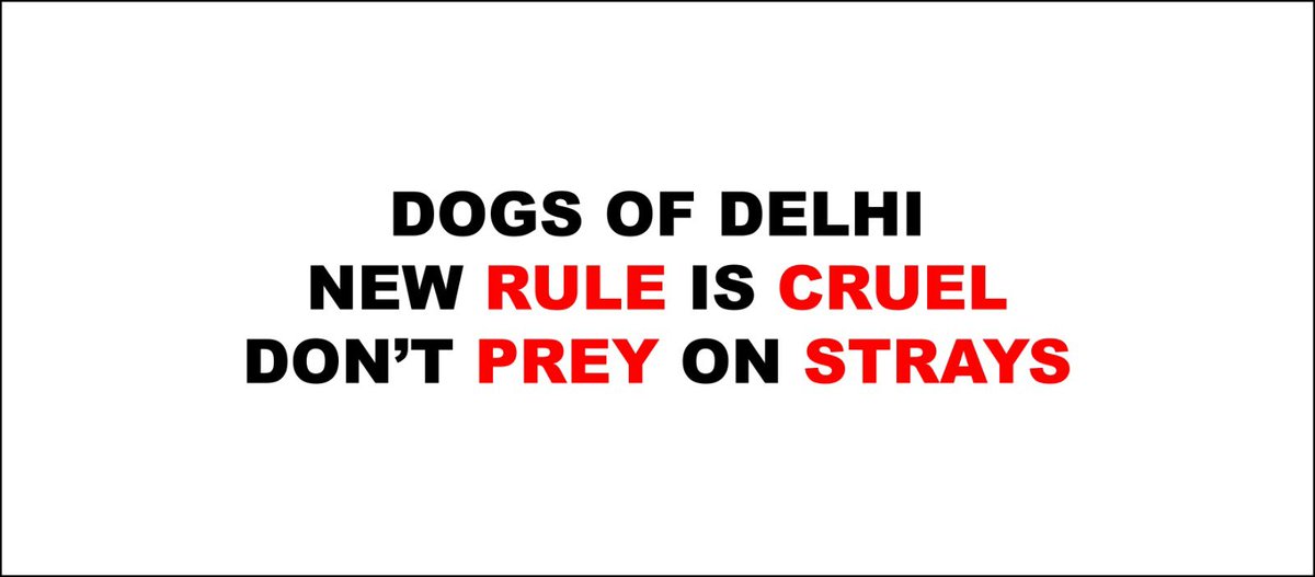 akshaychudasama's tweet image. #thebanner The Latest Banner. Safety and compassion must work together. The Government must find a way of sterilising stray dogs care without resorting to mass confinement. #SupremeCourt #peta #StrayDogs