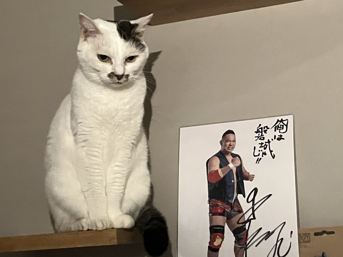 たまちゃんと磐城