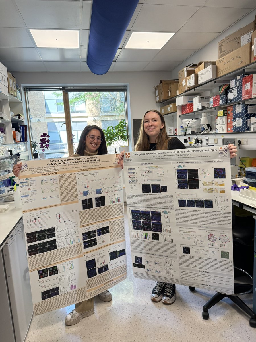 Sumru Bayin tweet media