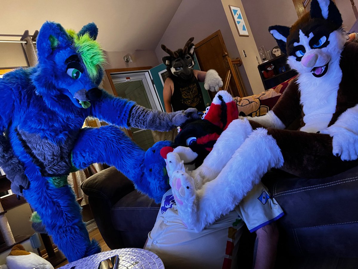 Arco Wolf (@arco_wolf) on Twitter photo Beans for me finally!
πΎ: <a href="/Spritz69Sadie/">π Sadie & Spritz</a> and <a href="/RiverwolfVulcan/">Vulcan Riverwolf</a>
πΈ: <a href="/RouryTheCat/">πΎ Roury πΎ</a> Beans for me finally!
πΎ: <a href="/Spritz69Sadie/">π Sadie & Spritz</a> and <a href="/RiverwolfVulcan/">Vulcan Riverwolf</a>
πΈ: <a href="/RouryTheCat/">πΎ Roury πΎ</a>