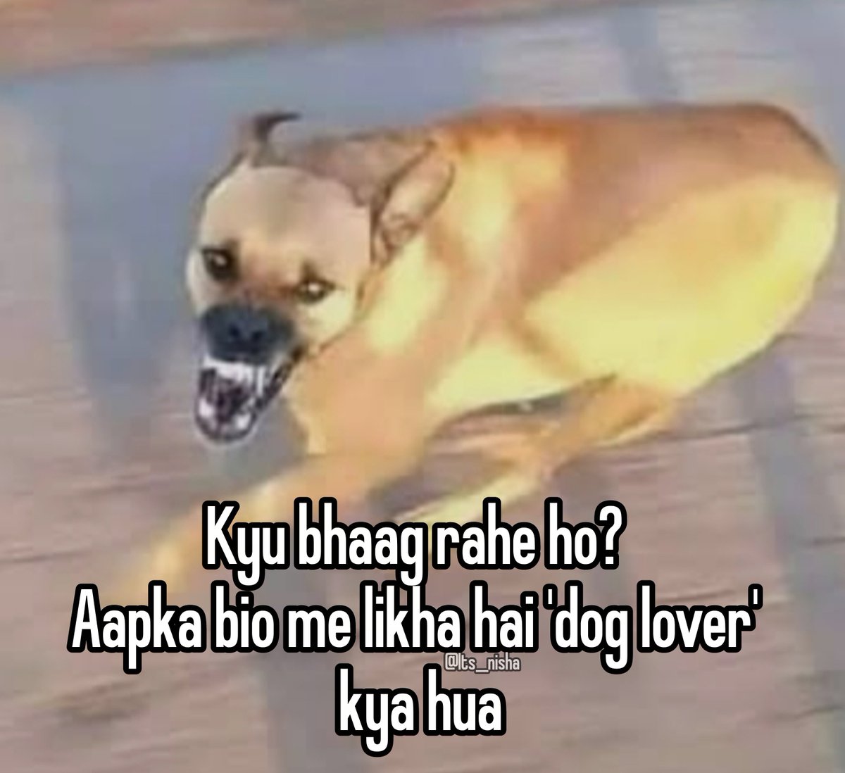 🤣