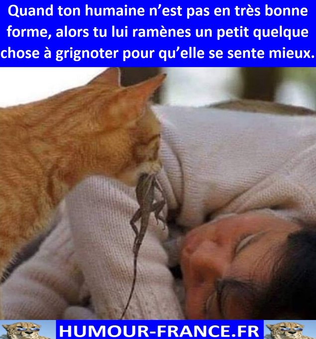 text alternatif