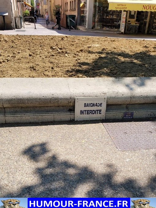 text alternatif