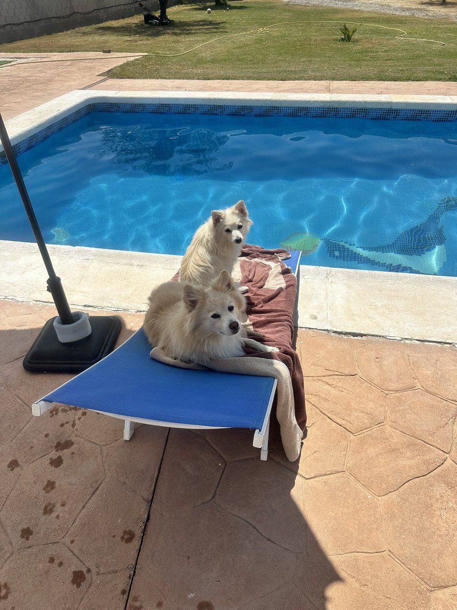 Lo más importante de mi vida