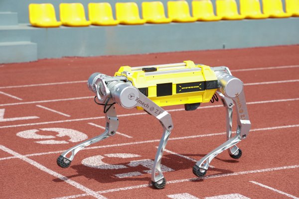 Zhejiang University on Tuesday said that its quadruped robot