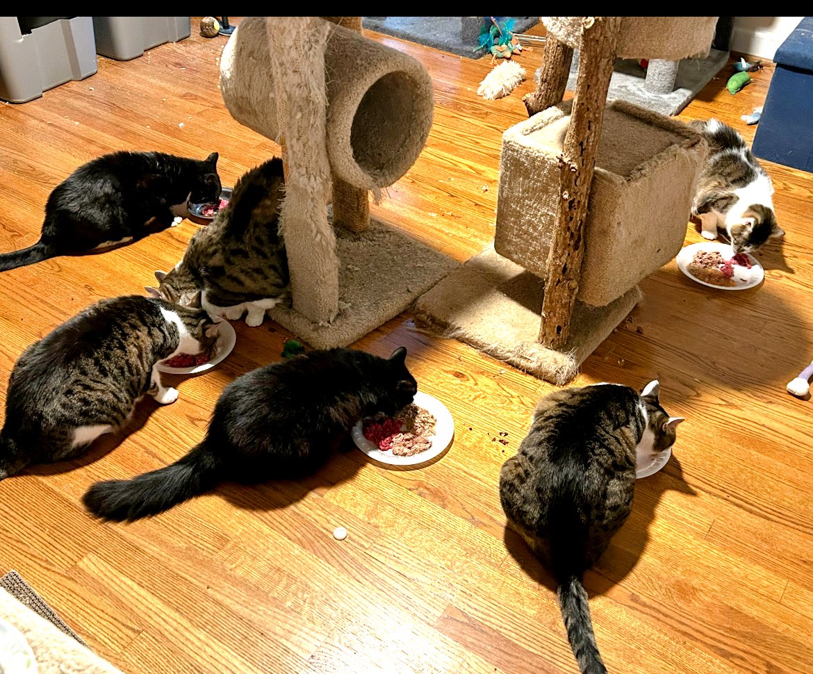 Breakfast Club❤️