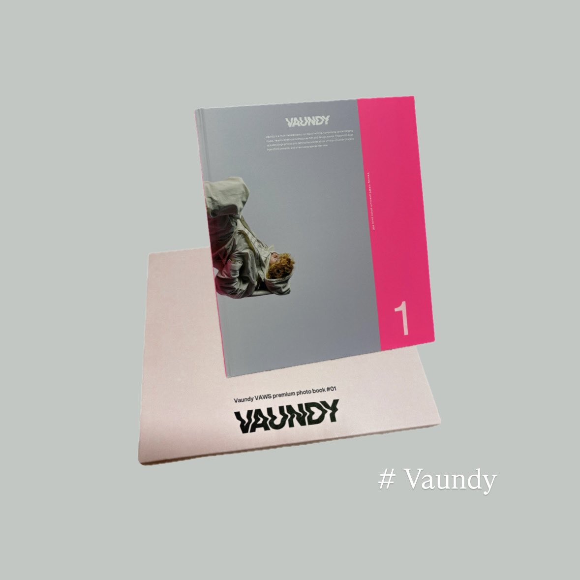 VAWS premium限定 ロゴトート＆ポシェット⑨ Vaundy VAWS premium photo book 01 Vaundy VAWS premium限定