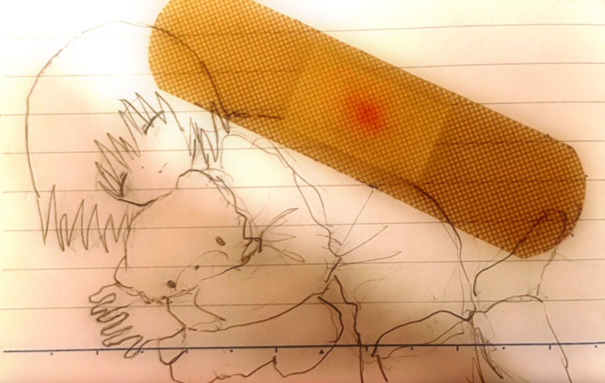 楔しお tweet media