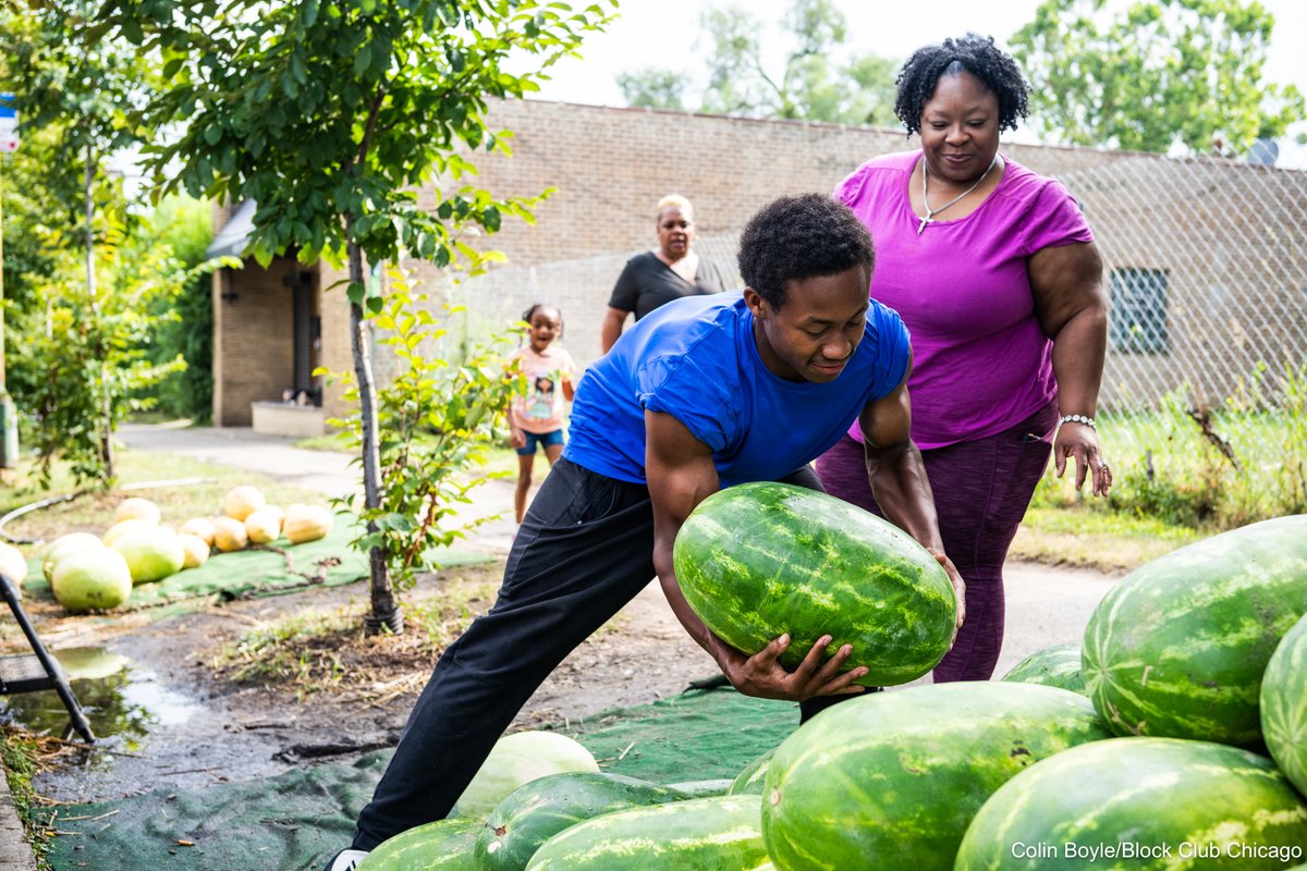 Colin Boyle (@colinbphoto) on Twitter photo We had the pleasure of spending a Friday evening with The Watermelon Man over on 83rd/Stony, and <a href="/ataviawrotethis/">Atavia Reed</a> took a deep dive into the fruit's history and role in Chicago and beyond!
Give it a read in @blockclubchi! We had the pleasure of spending a Friday evening with The Watermelon Man over on 83rd/Stony, and <a href="/ataviawrotethis/">Atavia Reed</a> took a deep dive into the fruit's history and role in Chicago and beyond!
Give it a read in @blockclubchi!