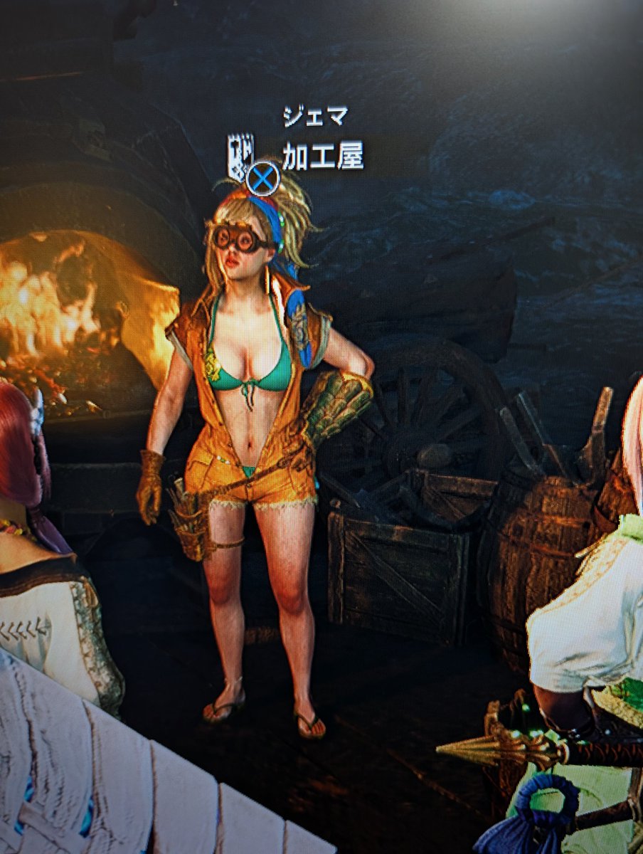 久しぶりにモンハン開いたらジェマさん…えっちだよ