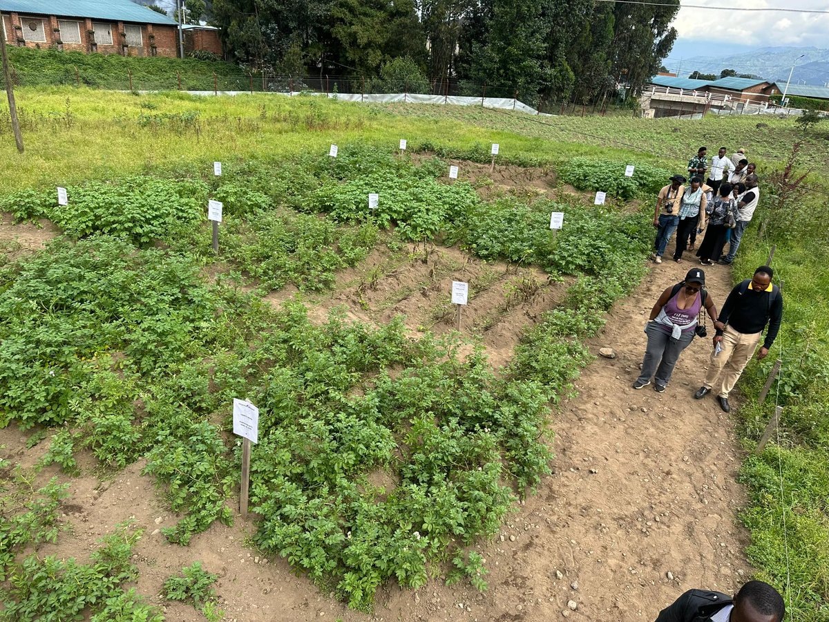 For centuries, farming has been a game of adaptation — farmers battling the elements, pests, and diseases with whatever tools they had. 

But today, the challenges we face are unprecedented. Climate change is making weather patterns unpredictable. Crop diseases are evolving