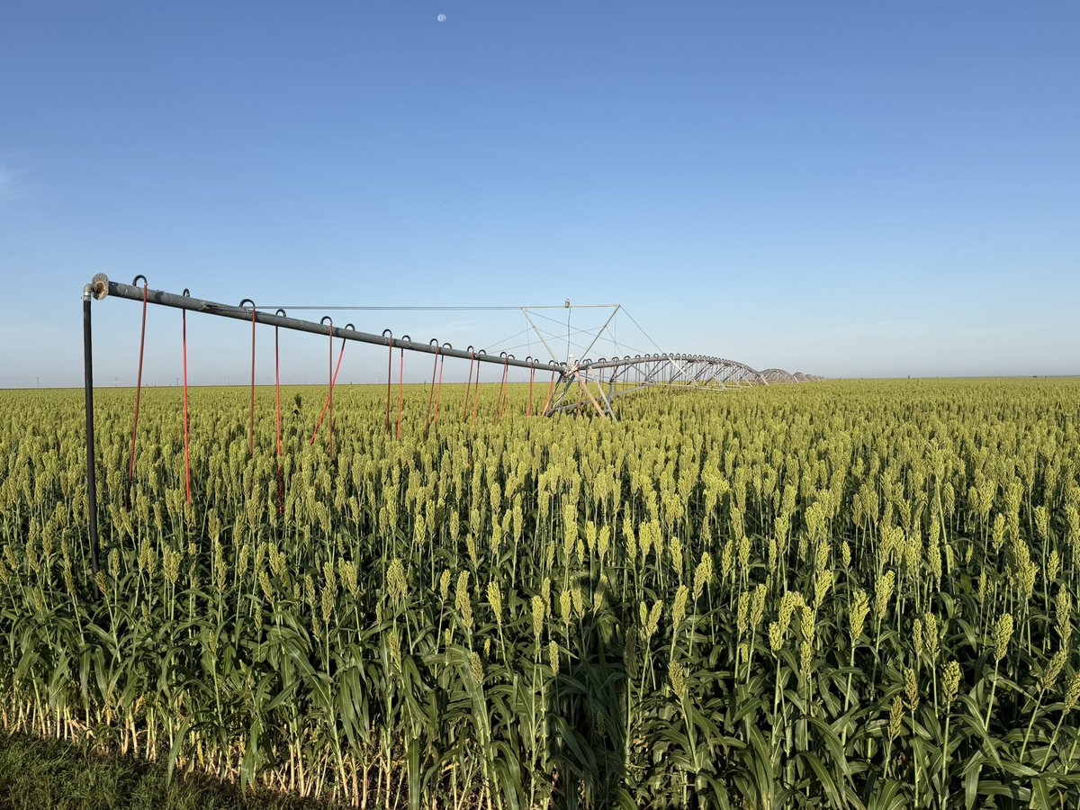 It’s amazing how much easier it is to farm when it rains