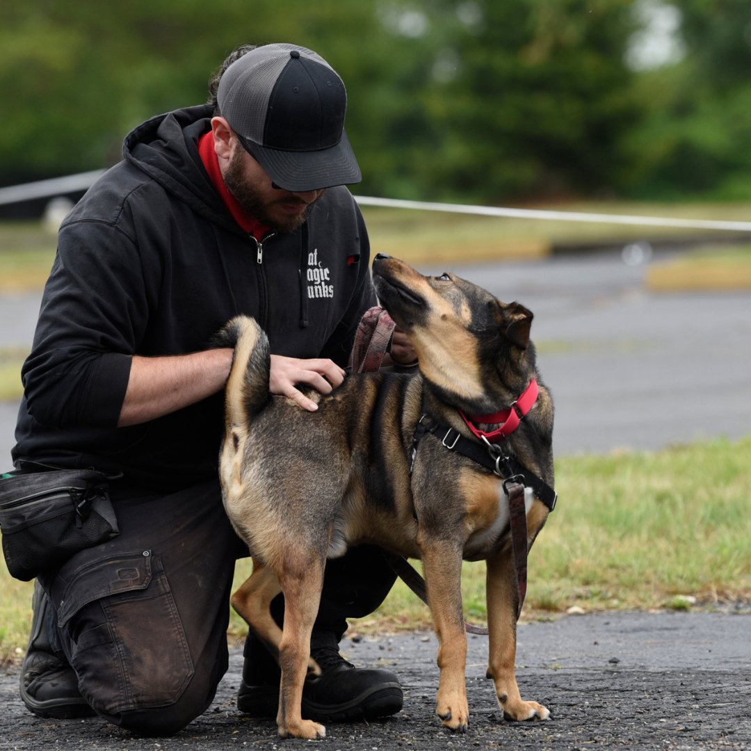 AlexAnimals's tweet photo. Your animalβs behavior has you considering a trainer β great idea! π‘ You want the best for your animal, but how do you know if a trainerβs approach is humane?
Learn more about finding the right trainer for your animal here:https://t.co/wfQslVltJ5
#alexanimals #alexandriava https://t.co/rLMAD5VCv8