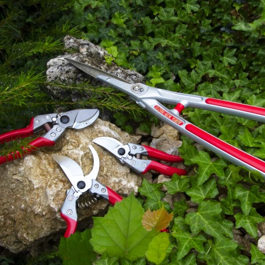 Did you know? We are a proud stockist and distributor of ARS tools. Specialising in saws and pruning equipment for professionals and quality-conscious consumers alike, ARS is a Japanese brand dedicated to producing high-quality pruning equipment — a craft they’ve been perfecting