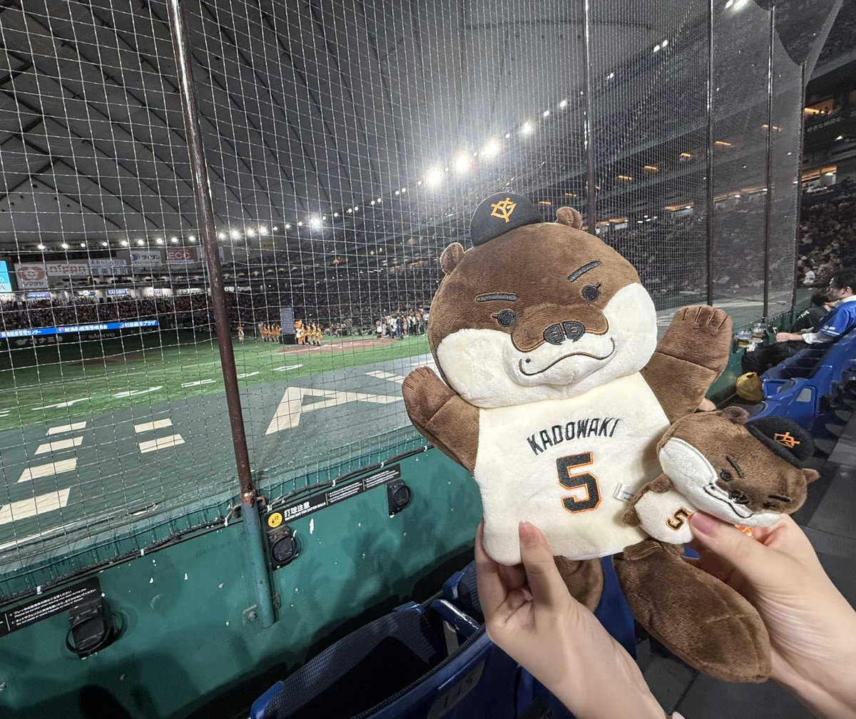kj_jump_ry's tweet photo. 現地やっと勝ちました👏🧡🦦
最初から最後までまこつ見れた
かわいい、 https://t.co/L2Wkt3tbQB