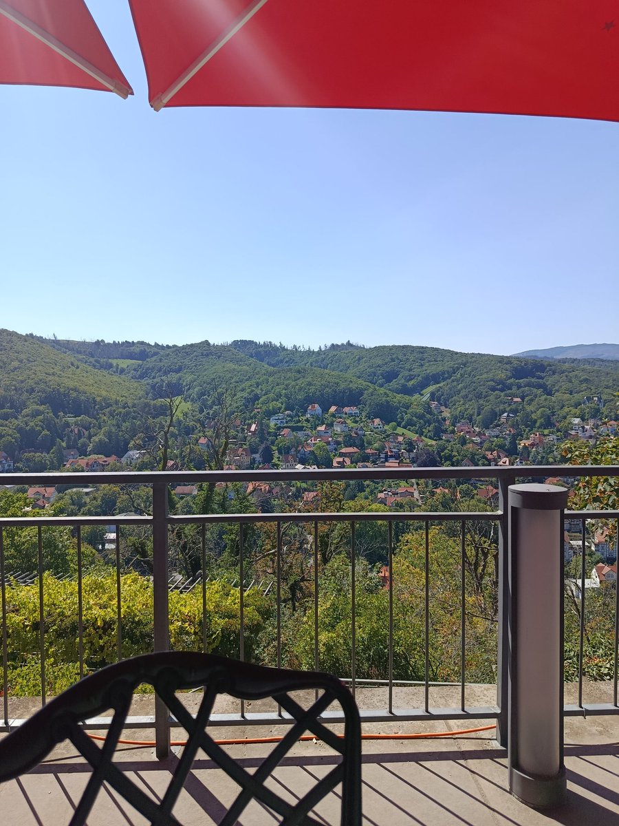 UTerdo's tweet image. Am Harz