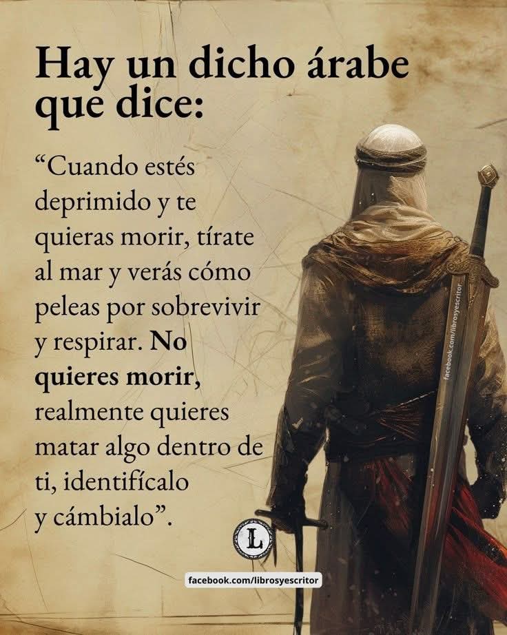 bomprado's tweet photo. @luiscoOficial https://t.co/7tvEUMIGok