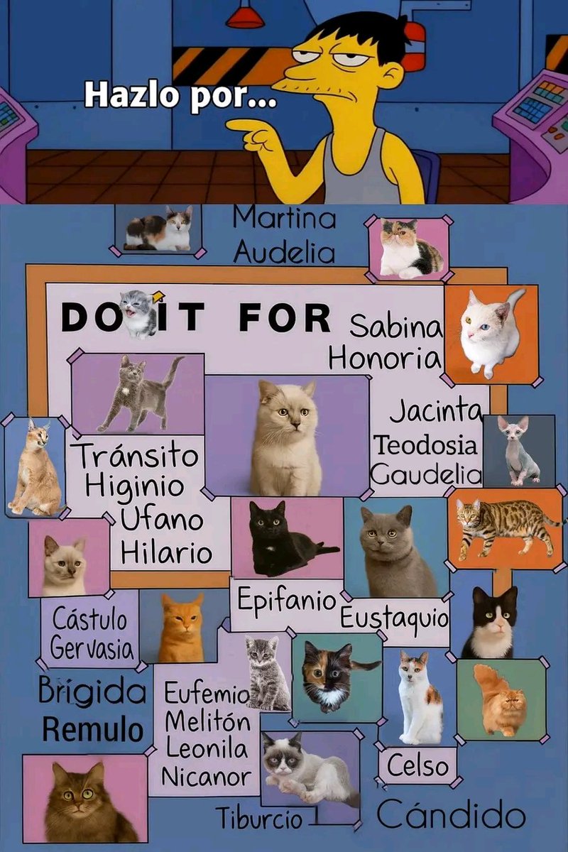 Hazlo por... 🐱🐾
