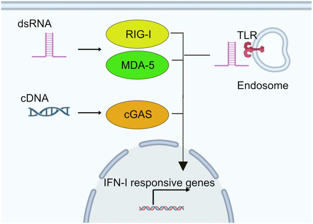 Mobile DNA tweet media