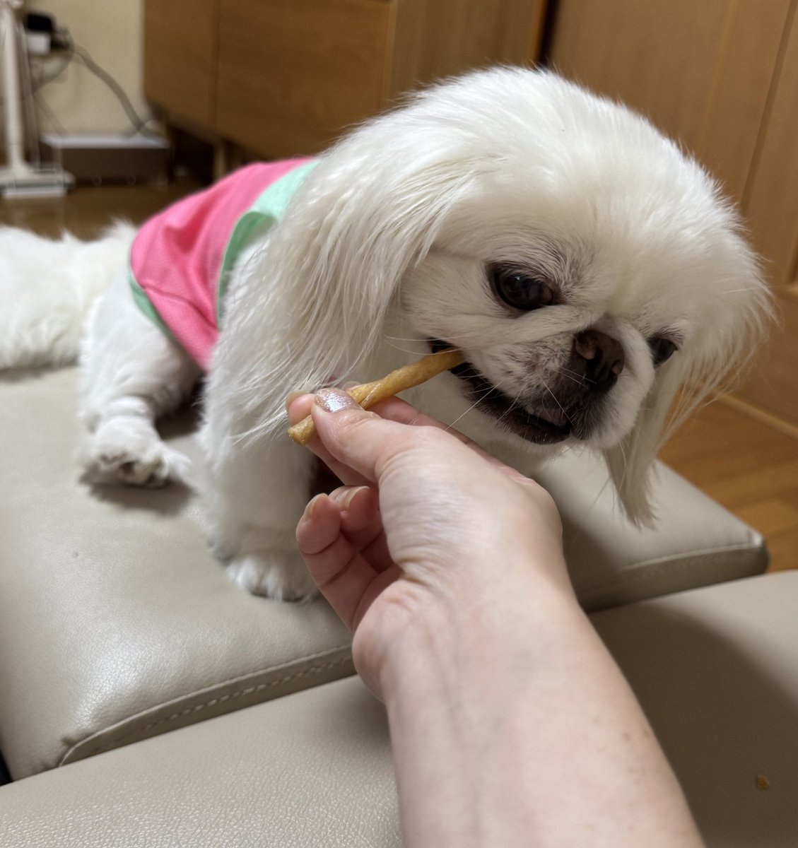 特別価格 御守り史上唯一の宇宙エネルギーコイン UFOエイリアンコイン