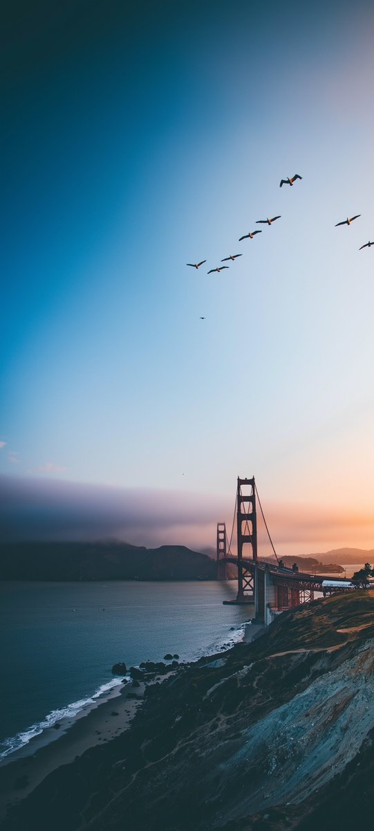 NoCaptionMood's tweet photo. Fog Lift 🌁 https://t.co/tkUCZFD010