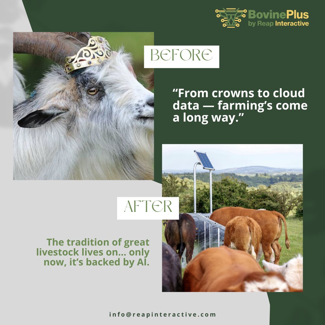 This Puck Fair, celebrate farming’s heritage while embracing its future.
 BovinePlus: Where heritage meets innovation.

#PuckFair #IrishFarming #AgTech #SmartFarming #BovinePlus #HeritageMeetsInnovation #FarmingFuture