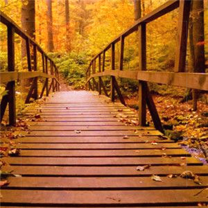 😀joyful100000😀The sound of a spoon clinking against a ceramic mug fills the quiet morning.😀