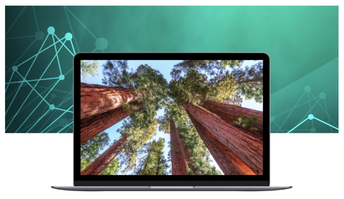 Sequoia_Group's tweet photo. 🌲 The talent gap in distribution is real, but it’s also an opportunity.

Like a Sequoia, the strongest companies grow deep roots in training, technology, and culture to stand tall through change.

Sequoias don’t just survive for centuries; they thrive by supporting the ecosystem around them. 

At Sequoia Group, we help distributors do the same: build resilient teams, embrace innovation, and create a culture where people and businesses grow stronger together.

Learn how Sequoia Group can strengthen your workforce for the future: https://t.co/wdy1OUePHp
