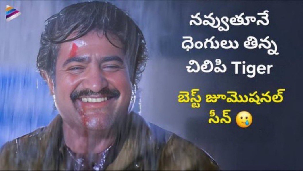 Nizam weak hero annaru 

Continues ga hits occhina record pettaledu annaru 

TANA bulk bookings annaru 

Cadree lekapothe 50% shows kuda full avvavu annaru 

Side character annaru 

Chudandra kodakalllaraaa #War2 tho anni correct eh ani prove chesthunnadu tiger 🔥🔥🔥🔥