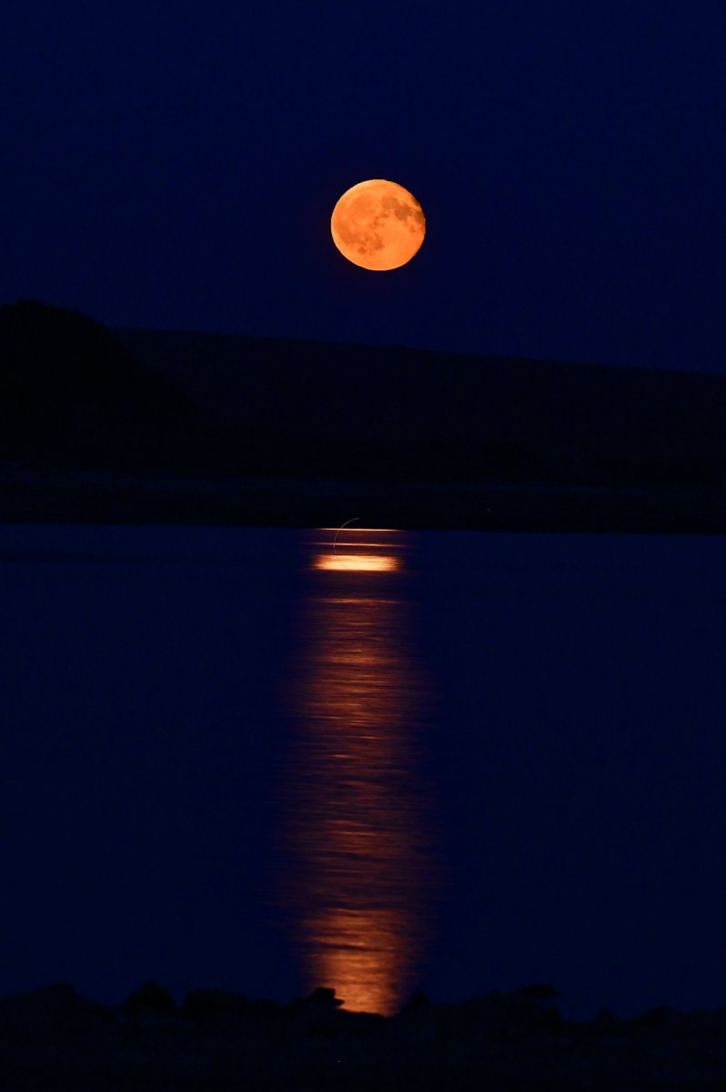 10/08/2025 moonrise over <a href="/SouthWestWater/">South West Water</a> Colliford Lake on #BodminMoor #Cornwall