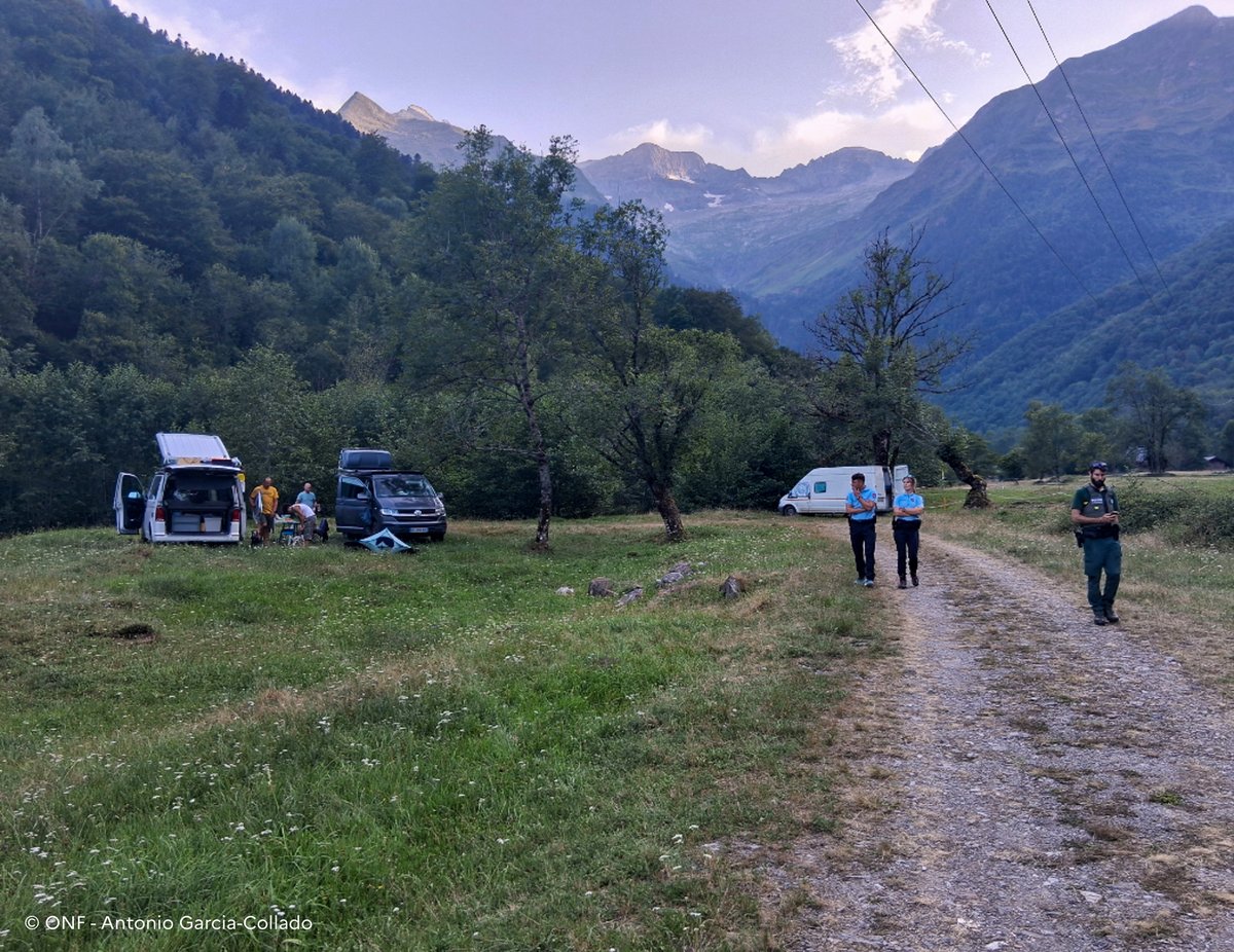 🌲Protection de l’environnement | Face au risque incendie, restons vigilants !

Alors que 9 feux sur 10 sont d'origine humaine, le civisme et la responsabilité de chacun sont primordiaux.
Une opération de contrôle inter-services a été menée par les services de l'État sur l’emploi