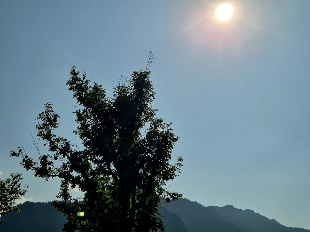 Boah....heiß wie Frittenfett!
Nicht ich!
Draußen!