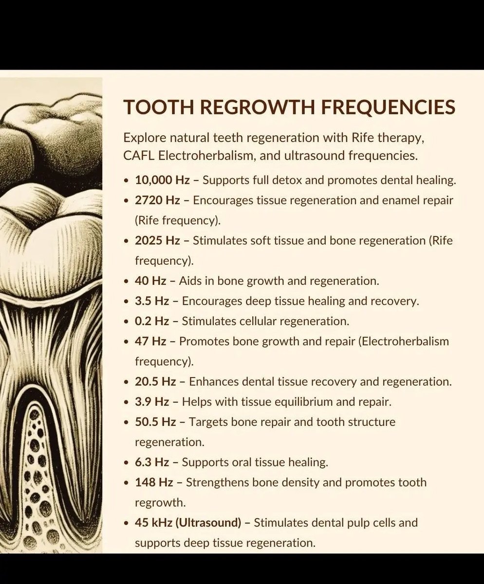 0️⃣BlackBetty ⚓️ tweet media
