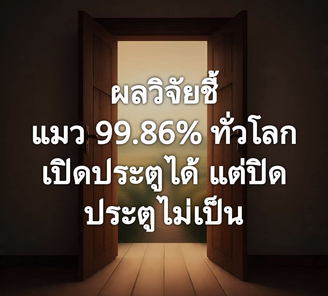 Suppakit Chalermlarp  tweet media