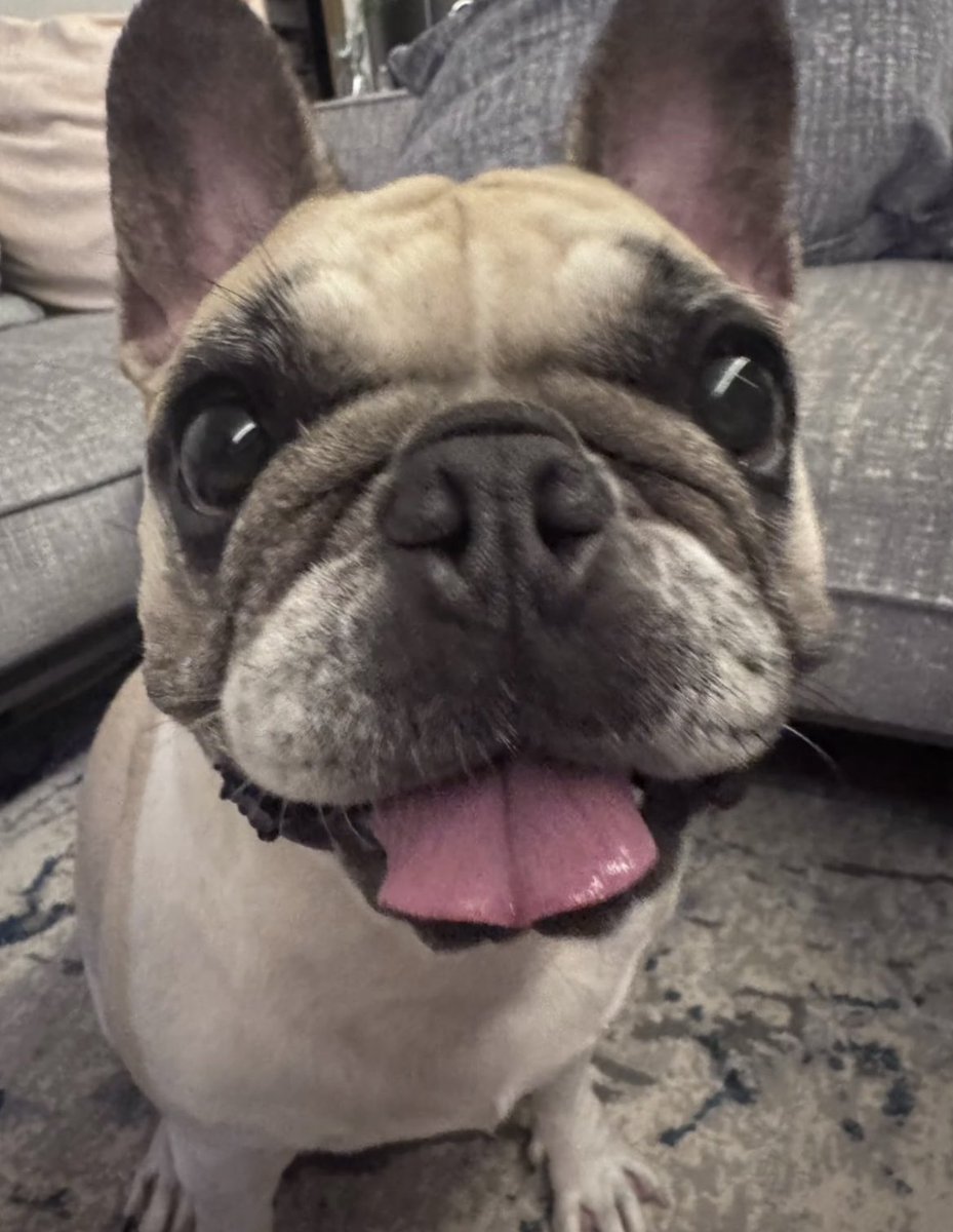 [🌟] Soul weverse moment update

#P1Harmony #피원하모니 #P1H