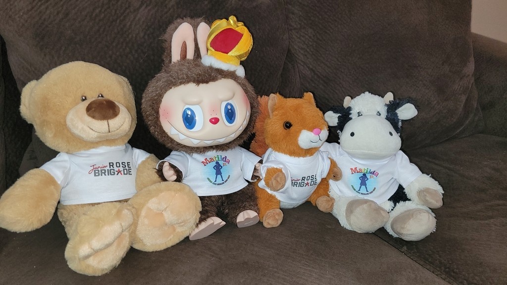 plushinarush's tweet photo. It's always our hope that you will buy your custom items and plushes from us, but we do make custom items to fit most plush sizes outside of our warehouse. Please note the sizing guidelines on our Custom Print page on our website so that we can ensure the best quality products. https://t.co/PxcztDDJWP