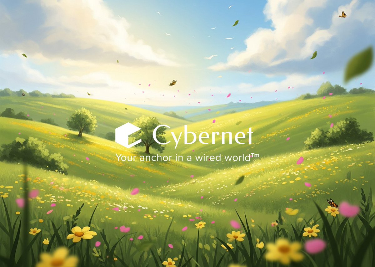 bruv1c's tweet image. Cybernet 🟢